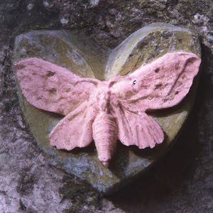 Meet your Posher, Abigail